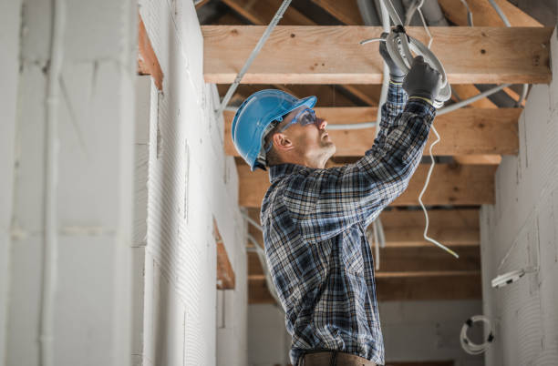 Best Residential Electrician Services  in St Louis Park, MN